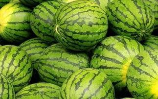 吃瓜网每日大赛聚集地